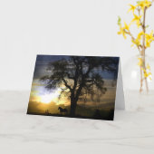 Paardensympathiekaart Kaart (Gele Bloem)