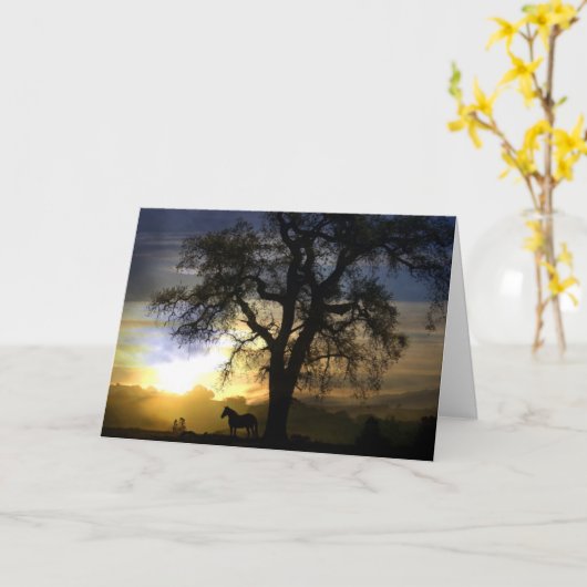 Paardensympathiekaart Kaart (Gele Bloem)