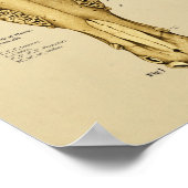 Paardentale anatomieleeftijd van paarden door de T Poster (Hoek)