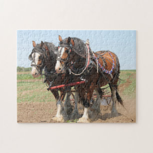 Paardenteam Boerderij Dier Legpuzzel