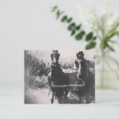 Paardenteam #paard #amish briefkaart (Staand voorkant)