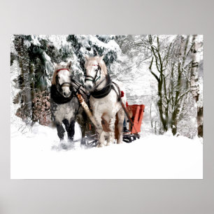 Paardenteam Sleigh Ride door sneeuwige Bossen Poster