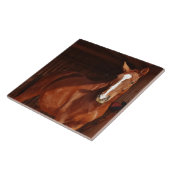 paardentegel schuur tegeltje (Zijkant)