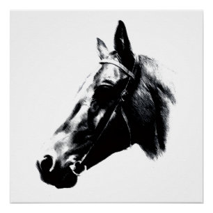 Paardentekening kunstwerk Kaart Perfect Poster