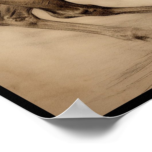 Paardentekening, poster van houtskool (Hoek)