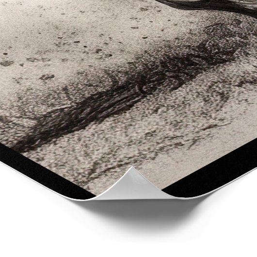 Paardentekening, poster van houtskool (Hoek)