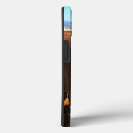 Paardentelefoongevallen Case-Mate iPhone Case (Achterkant / Rechts)