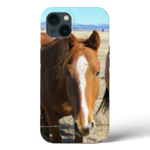 Paardentelefoongevallen