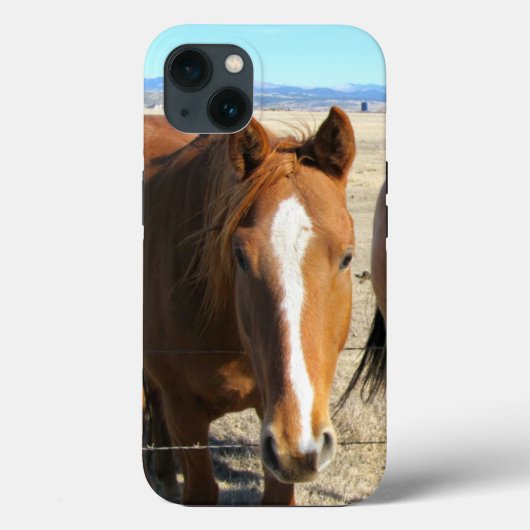 Paardentelefoongevallen Case-Mate iPhone Case (Achterkant)