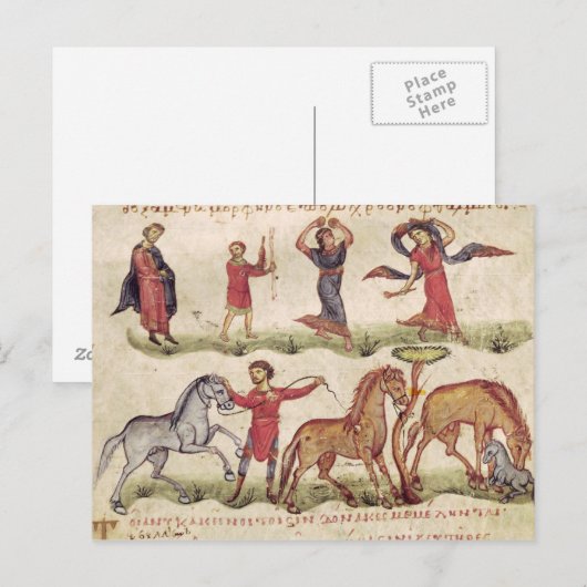 Paardentrainers Briefkaart (Voorkant / Achterkant)