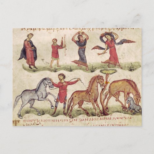 Paardentrainers Briefkaart (Voorkant)