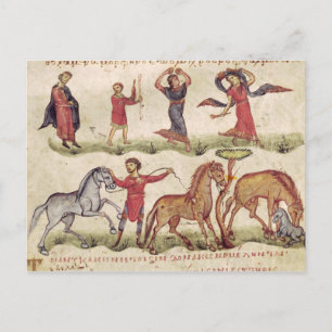 Paardentrainers Briefkaart