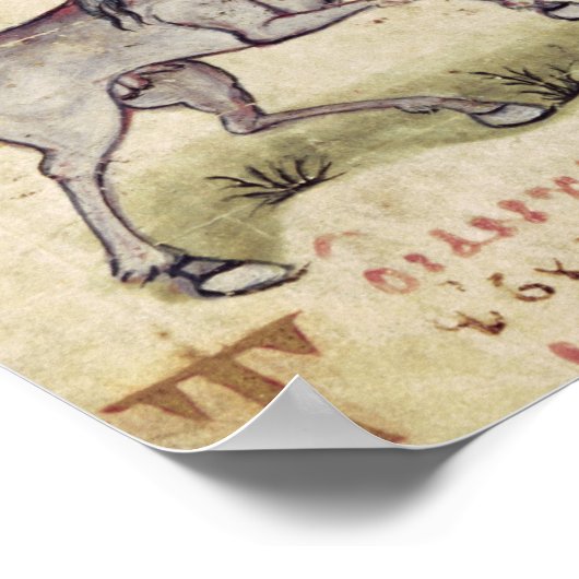 Paardentrainers Poster (Hoek)