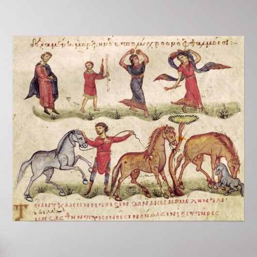 Paardentrainers Poster (Voorkant)