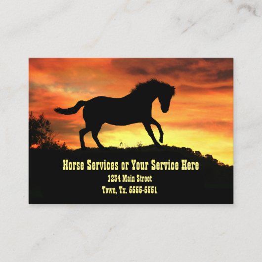 Paardentrainingen — Lessons Business C Visitekaartje (Voorkant)