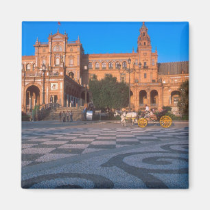 Paardentrekken in het Plaza de Espana in Magneet