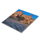 Paardentrekken in het Plaza de Espana in Tegeltje (Zijkant)