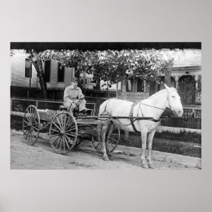 Paardentrekkerfoto Wagon Poster