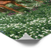 Paardentrio afdrukken poster (Hoek)