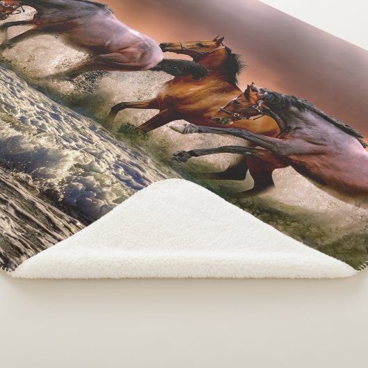 Paardentrio loopt in Ocean Surf bij zonsondergang Sherpa Deken (3/4)