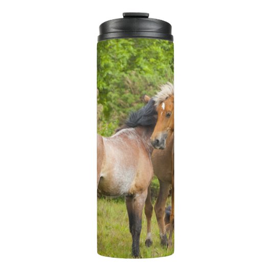 Paardentumbler Thermosbeker (Voorkant)