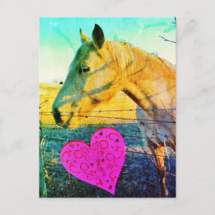 Paardenvalentijn  reto briefkaart
