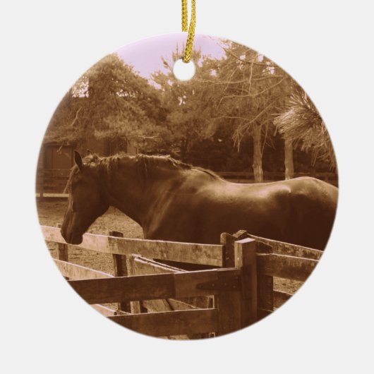 Paardenversiering Keramisch Ornament (Voorkant)