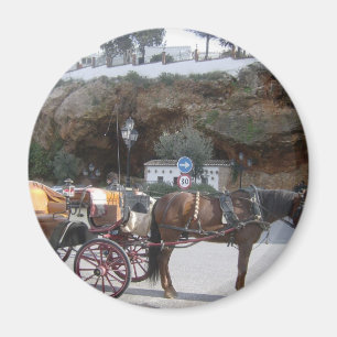 Paardenvervoer in Mijas Magneet