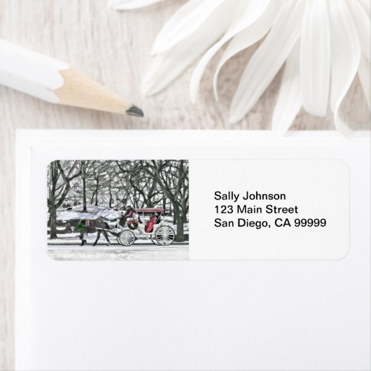 Paardenvervoer in New York City Etiket (Insitu)