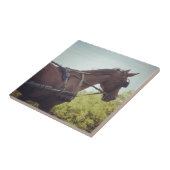 Paardenvervoer Tegeltje (Zijkant)