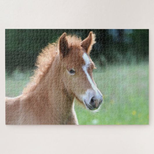 Paardenveulen Legpuzzel (Horizontaal)
