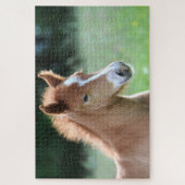 Paardenveulen Legpuzzel (Verticaal)