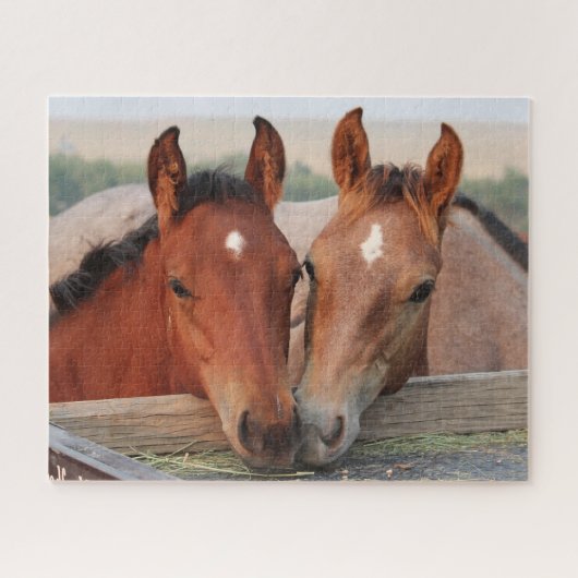 Paardenveulens Legpuzzel (Horizontaal)