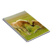 Paardenveulens Notitieboek (Rechterzijde)
