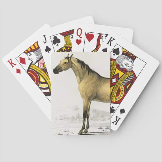 Paardenvintage geïllustreerd pokerkaarten (Achterkant)