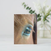 Paardenvisie Briefkaart (Staand voorkant)