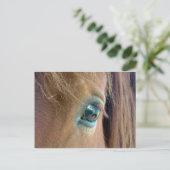 Paardenvisie Briefkaart (Staand voorkant)
