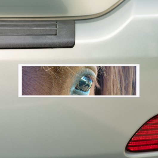 Paardenvisie Bumpersticker (Op auto)