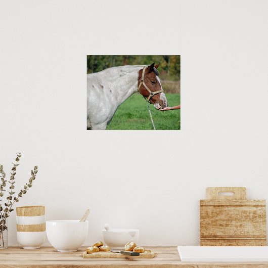 Paardenvoer Poster (Keuken)