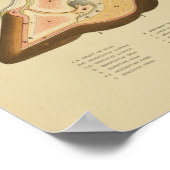 paardenvoetanatomie Afdrukken 1873 Poster (Hoek)