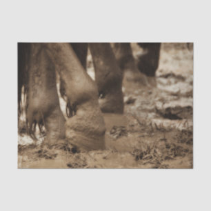 Paardenvoeten Western Vintage Sepia Bruin Rustiek Tissuepapier