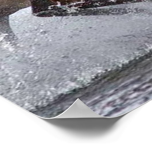 Paardenvorst, Papier poster (Hoek)