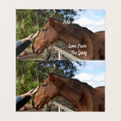 Paardenvriend Forever, vogelkaart Kaart (Binnenkant ongevouwen)