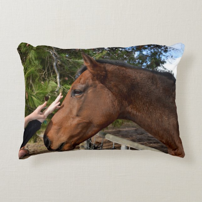 Paardenvriend voor altijd, accent kussen (Voorkant)