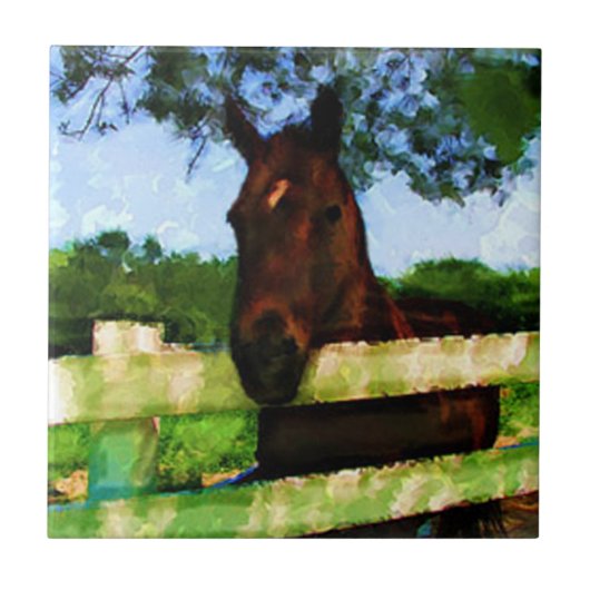 Paardenvriendelijk Tegeltje (Voorkant)