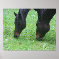 Paardenvrienden BFF Grazing Animal