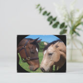 Paardenvrienden Briefkaart (Staand voorkant)