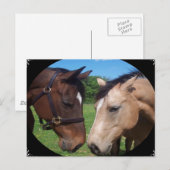 Paardenvrienden Briefkaart (Voorkant / Achterkant)