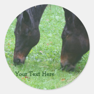 Paardenvrienden die samen dieren kruipen ronde sticker