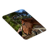 Paardenvrienden Forever, Flexible Magnet Magneet (Rechterzijde)